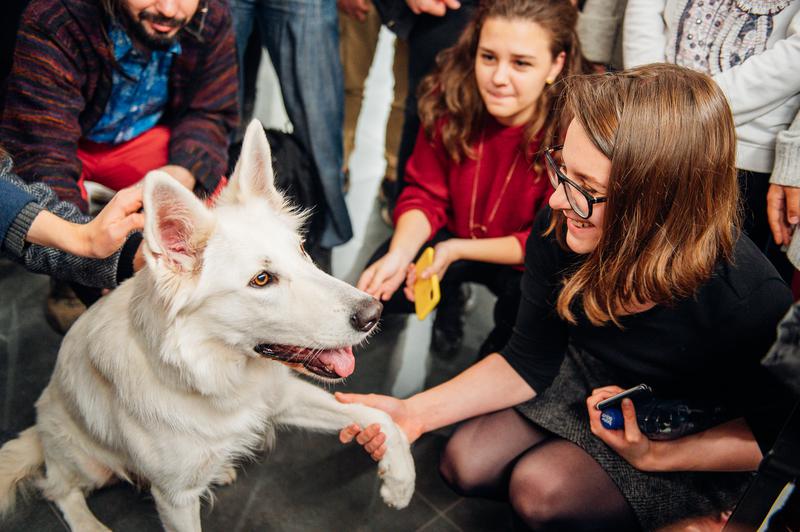 Mental Health Day в корпусе на Покровском бульваре, октябрь 2019 г.