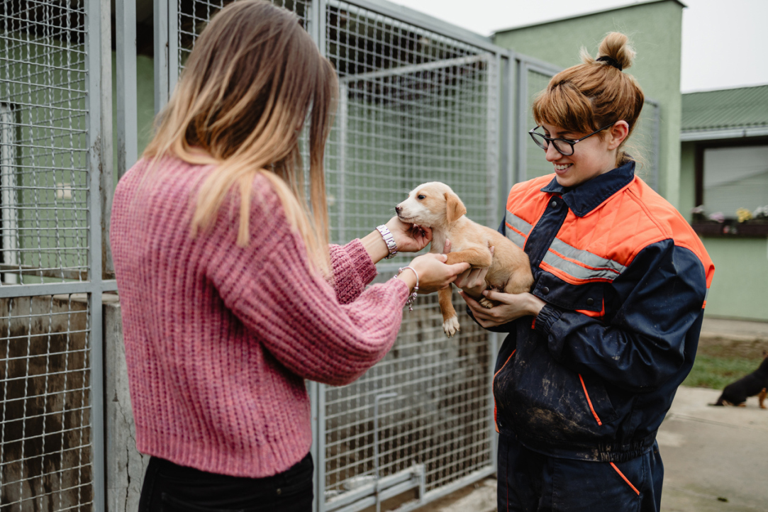 HSE Scientists Discover How to Predict Charitable Behaviour Through Physiological Reactions